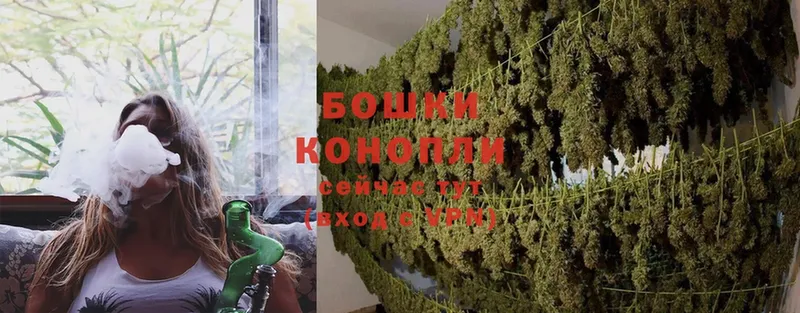 ссылка на мегу   где купить наркотик  Кудымкар  Каннабис OG Kush 